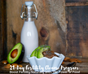 Chia Avocado Pudding is Part of Our Fertility Cleanse Program